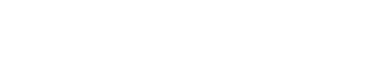 SpiderGroup Logo